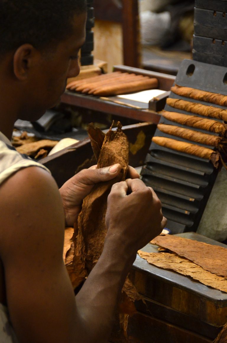 Trabalhador com charutos